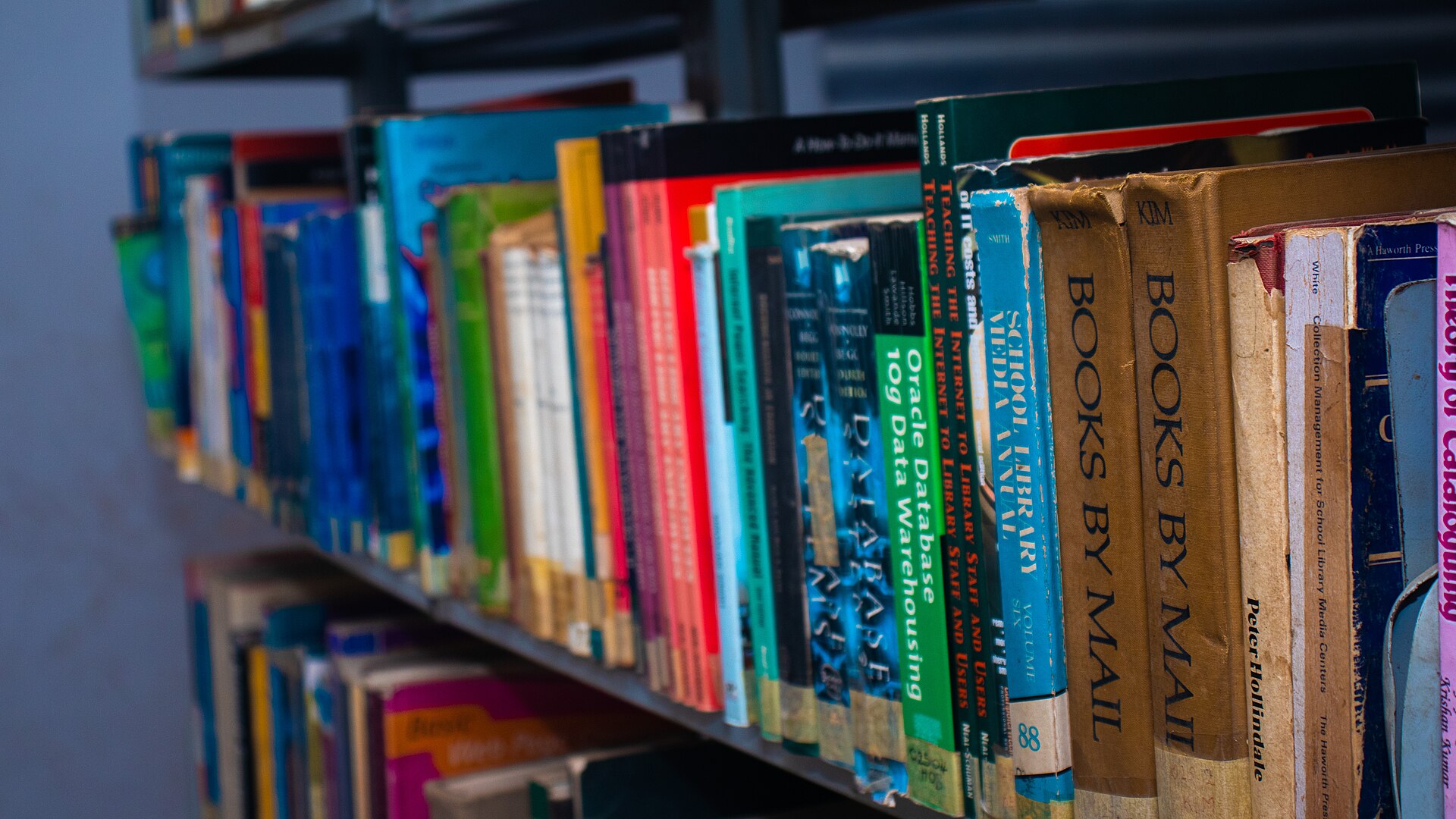 Leximi mes të rinjve: bibliotekat shënojnë rritje anëtarësimesh